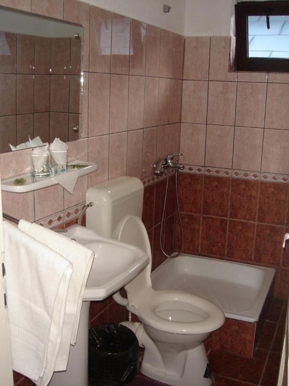 Vila Cristina Ceahlău Chambre photo